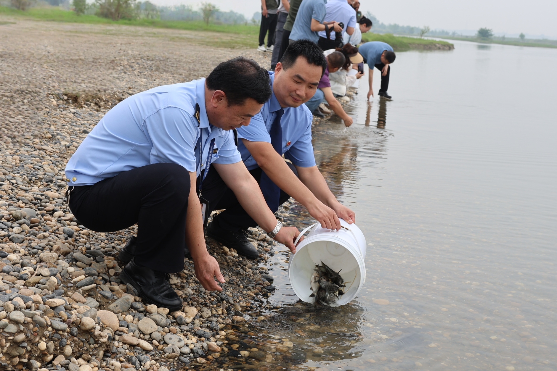 生物多样性日 | 六百万尾鱼苗在这里被放生